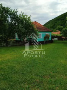 Casa batraneasca de vanzare, 4 camere, in Hunedoara, sat Micanesti - foto 6
