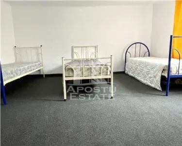 Spatii depozitare cu teren 1100 mp, zona Elisabetin - foto 6