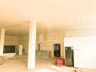 Spatiu productie sau depozitare 306 mp Zona Dacia - Timisoara