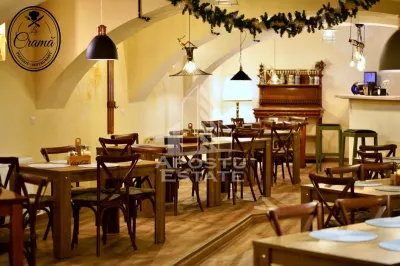 Afacere la cheie, in apropierea Castelului Corvinilor in Hunedoara - foto 2