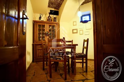 Afacere la cheie, in apropierea Castelului Corvinilor in Hunedoara - foto 12