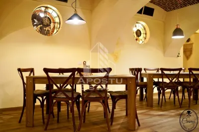 Afacere la cheie, in apropierea Castelului Corvinilor in Hunedoara - foto 21