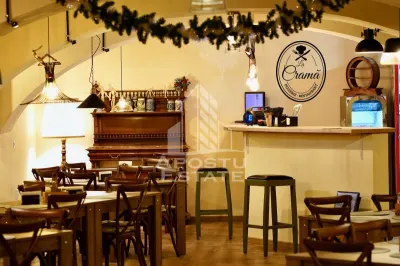 Afacere la cheie, in apropierea Castelului Corvinilor in Hunedoara - foto 22