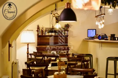 Afacere la cheie, in apropierea Castelului Corvinilor in Hunedoara - foto 23