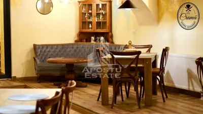 Afacere la cheie, in apropierea Castelului Corvinilor in Hunedoara - foto 5