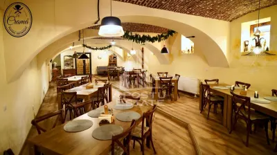 Afacere la cheie, in apropierea Castelului Corvinilor in Hunedoara - foto 8