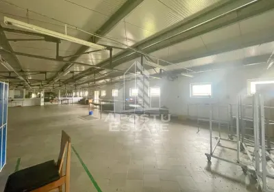 Spatii productie si depozitare, zona Sebis - Prunisor-Carand - foto 13