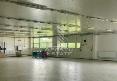Spatii productie si depozitare, zona Sebis - Prunisor-Carand - foto 6