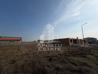 Parcela de 600 mp, in Mosnita Noua - Mosnita Noua