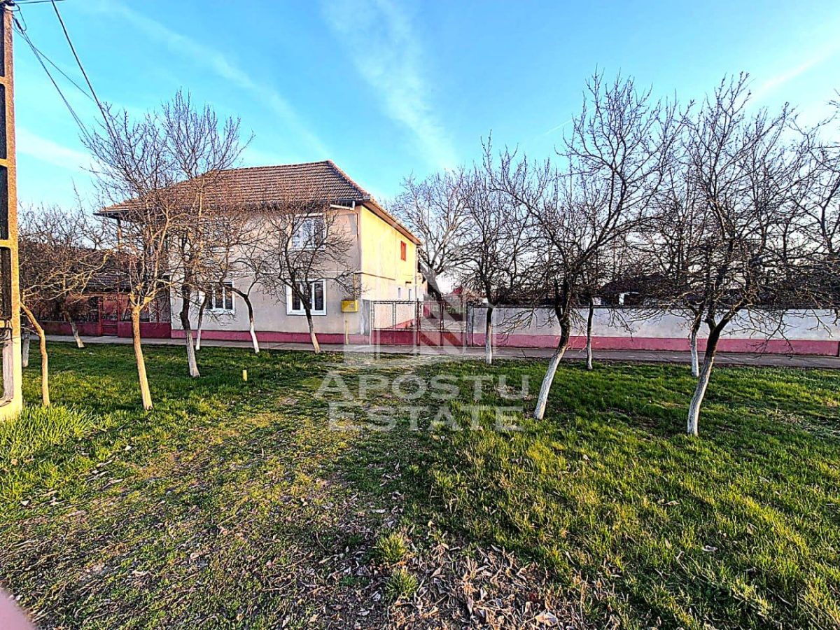 Casa individuala cu etaj, teren 3000 mp, gradina si solar – Satchinez - Satchinez