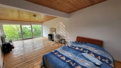 Casa ideala pentru birouri/alte activitati Mehala - foto 14