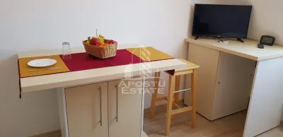 Garsoniera de vanzare in bloc de apartamente, zona Lipovei Timisoara - foto 3