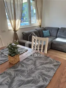 Apartament open space,3 camere si curte proprie,Dumbravita - foto 14