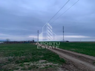 Teren intravilan, 2635 mp, Zabrani - foto 2