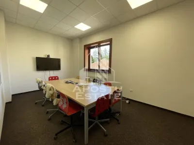 Cladire birouri si alte activitati, 820 mp, Ultracentral Timisoara - foto 12