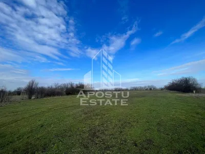 Parcele de teren pentru inchiriat, zona Gai - foto 2