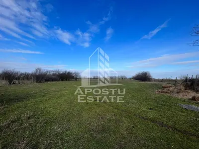 Parcele de teren pentru inchiriat, zona Gai - foto 3