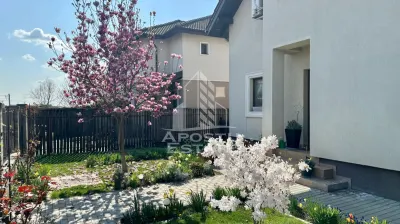 Casa individualade vanzare cu 4 camere, teren 816 mp, Dumbravita - foto 19