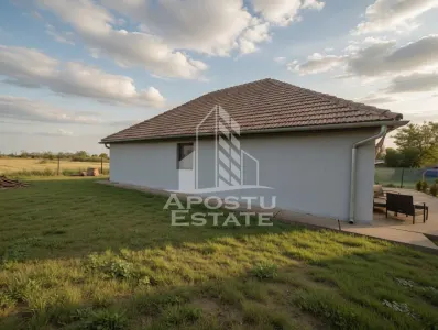 Casa 133 mp utili, teren 2972 mp, la 30 min de Timisoara - foto 2