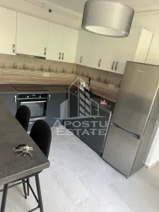 Doua apartamente la curte comuna , zona Iosefin - foto 5