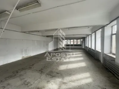 Spatiu comercial 1050 mp si 812 mp teren, in zona Sagului. - Timisoara