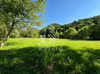 Teren de vanzare pe marginea raului, 1300mp, in Gros, Hunedoara - Gros