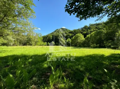 Teren de vanzare pe marginea raului, 1300mp, in Gros, Hunedoara - foto 2