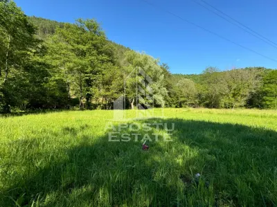 Teren de vanzare pe marginea raului, 1300mp, in Gros, Hunedoara - foto 5