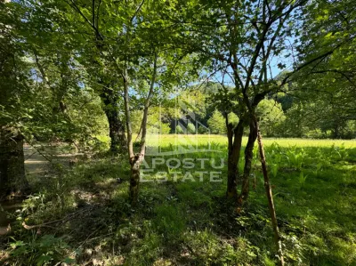 Teren de vanzare pe marginea raului, 1300mp, in Gros, Hunedoara - foto 6