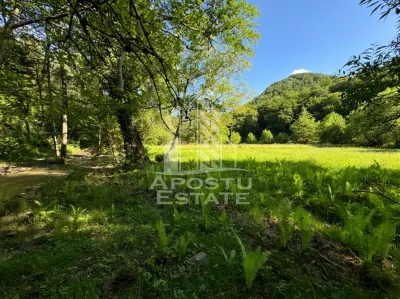 Teren de vanzare pe marginea raului, 1300mp, in Gros, Hunedoara - foto 7