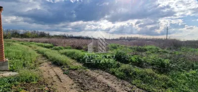 Teren intravilan langa case 5000 mp , apa , curent , Sacosu Turcesc - foto 4