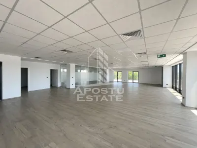 Spatiu comercial pentru birouri, 297 mp, Etajul 1, Giroc - Giroc