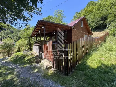 Casa din lemn, zona muntoasa, cu rau, la cheie, Ribita, Hunedoara - Dumbrava de Jos