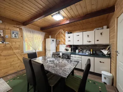 Casa din lemn, zona muntoasa, cu rau, la cheie, Ribita, Hunedoara - foto 13