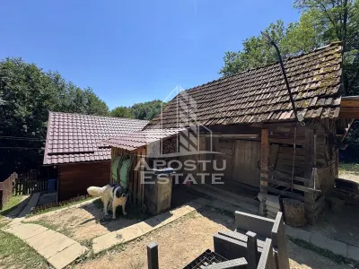 Casa din lemn, zona muntoasa, cu rau, la cheie, Ribita, Hunedoara - foto 16
