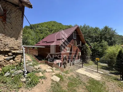 Casa din lemn, zona muntoasa, cu rau, la cheie, Ribita, Hunedoara - foto 21
