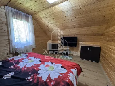 Casa din lemn, zona muntoasa, cu rau, la cheie, Ribita, Hunedoara - foto 10