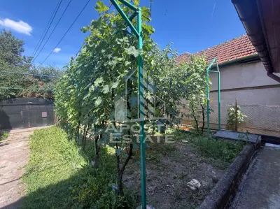 Casa individuala cu teren de vanzare, zona Plopi Timisoara - Timisoara