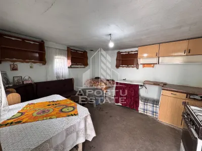 Casa batraneasca in stare foarte buna, teren 5000mp, Tisa, Hunedoara - foto 11
