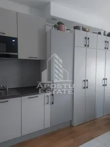 Studio in Remetea Mare - foto 5