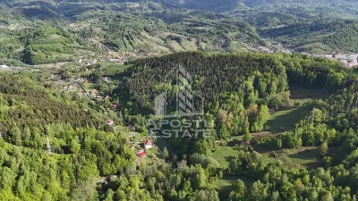 Oportunitate! Domeniu montan, cu lac propriu, oras Lupeni, Hunedoara - foto 12