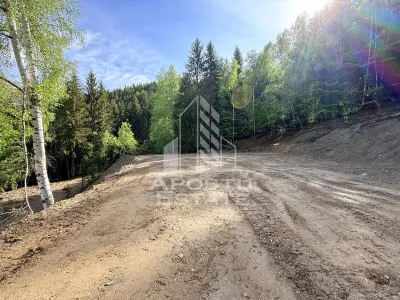 Oportunitate! Domeniu montan, cu lac propriu, oras Lupeni, Hunedoara - foto 17