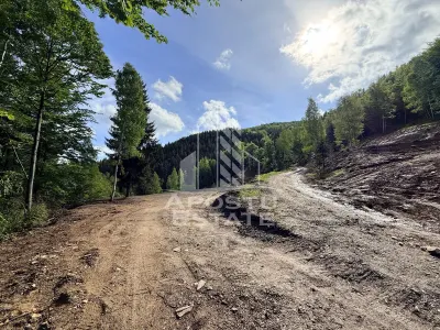 Oportunitate! Domeniu montan, cu lac propriu, oras Lupeni, Hunedoara - foto 18