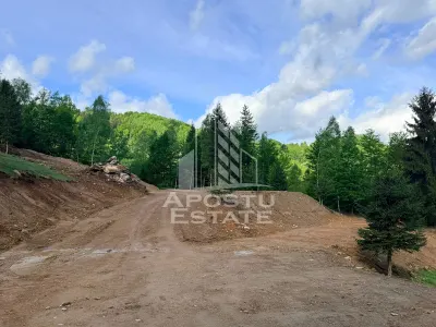 Oportunitate! Domeniu montan, cu lac propriu, oras Lupeni, Hunedoara - foto 20