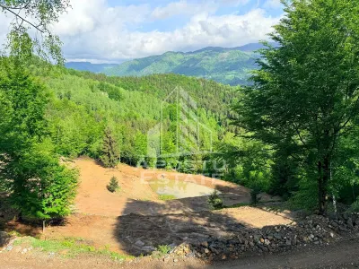Oportunitate! Domeniu montan, cu lac propriu, oras Lupeni, Hunedoara - foto 3