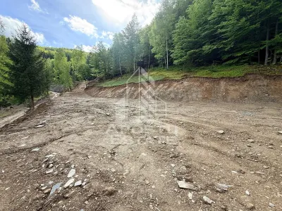 Oportunitate! Domeniu montan, cu lac propriu, oras Lupeni, Hunedoara - foto 21