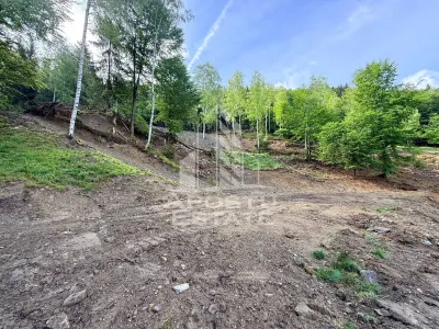 Oportunitate! Domeniu montan, cu lac propriu, oras Lupeni, Hunedoara - foto 23