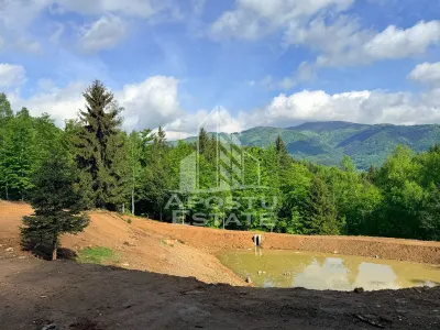Oportunitate! Domeniu montan, cu lac propriu, oras Lupeni, Hunedoara - foto 4