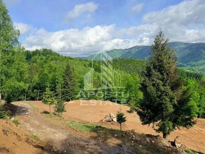 Oportunitate! Domeniu montan, cu lac propriu, oras Lupeni, Hunedoara - foto 5