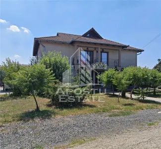 Casa individuala de vanzare si restaurant funcioanal, Sag, COMISION 0 - Sag